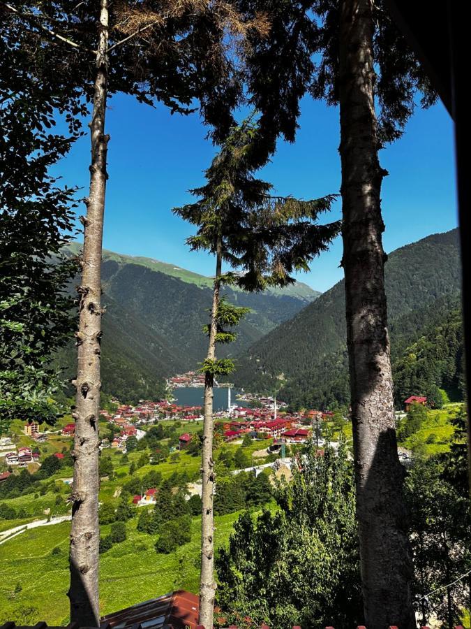 Maneviga Cafe & Apart Aparthotel Uzungöl Eksteriør bilde